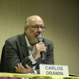Imagem padrão